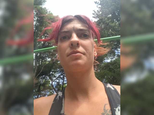 WildVixen