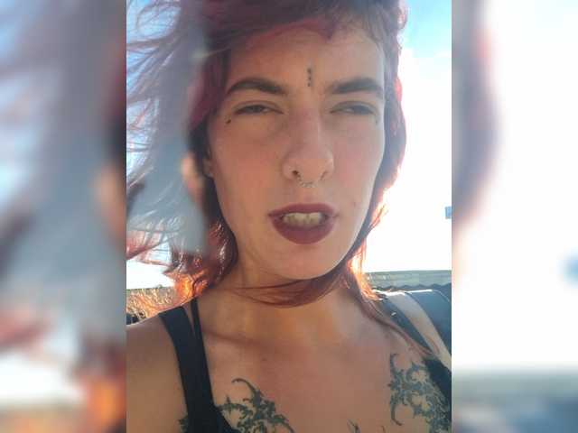 WildVixen