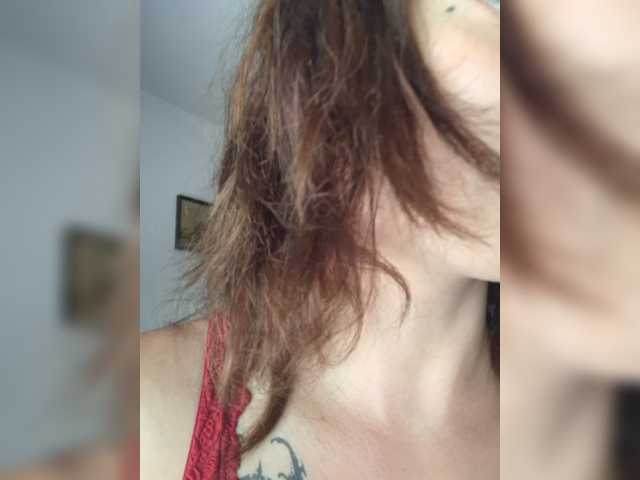 WildVixen