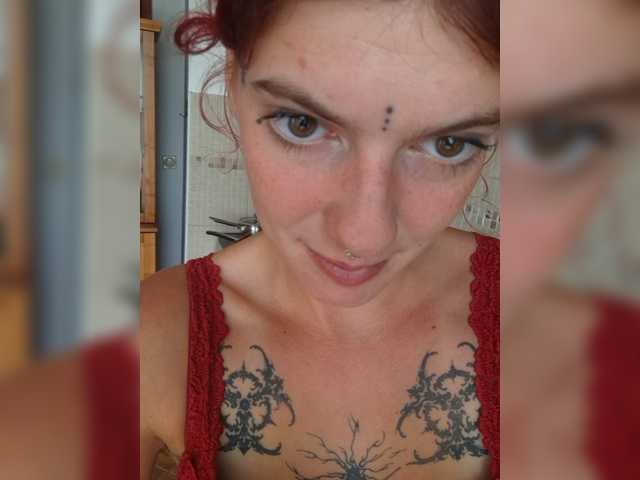 WildVixen
