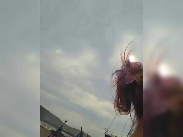 WildVixen