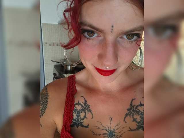 WildVixen live cam