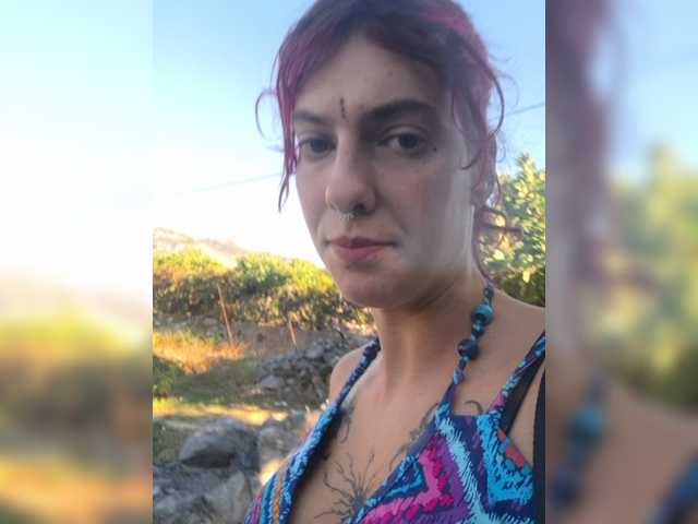 WildVixen