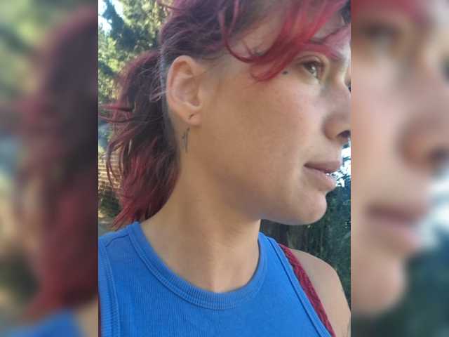WildVixen