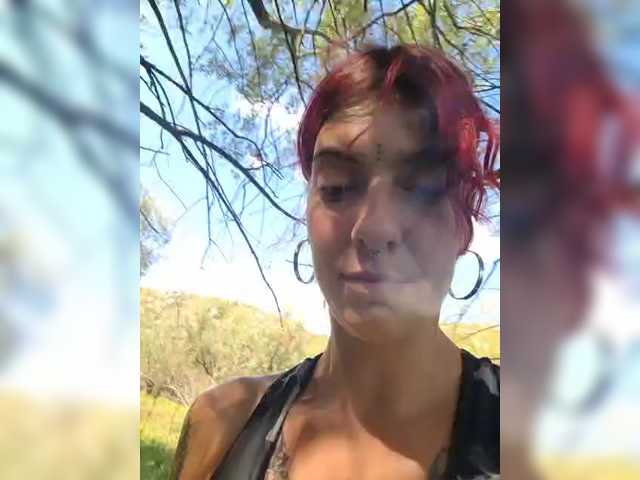 WildVixen