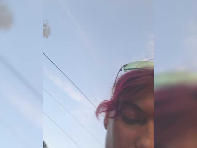WildVixen