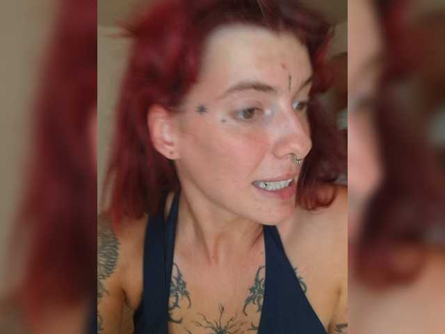 WildVixen live cam on BongaCams