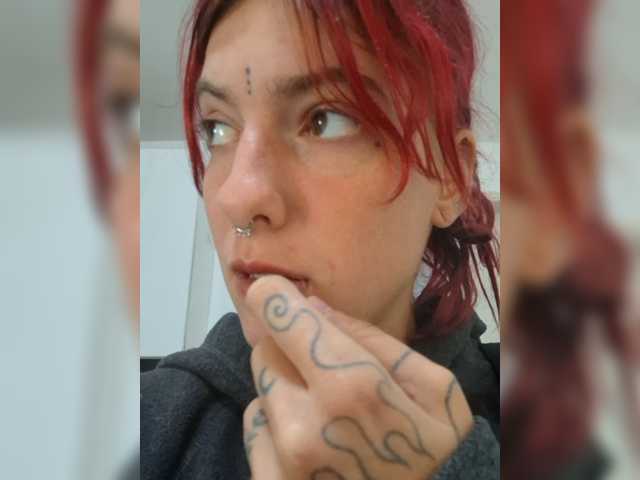 WildVixen
