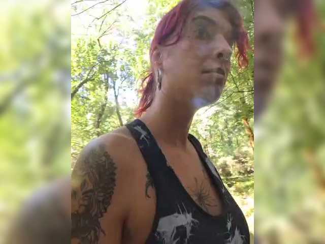 WildVixen