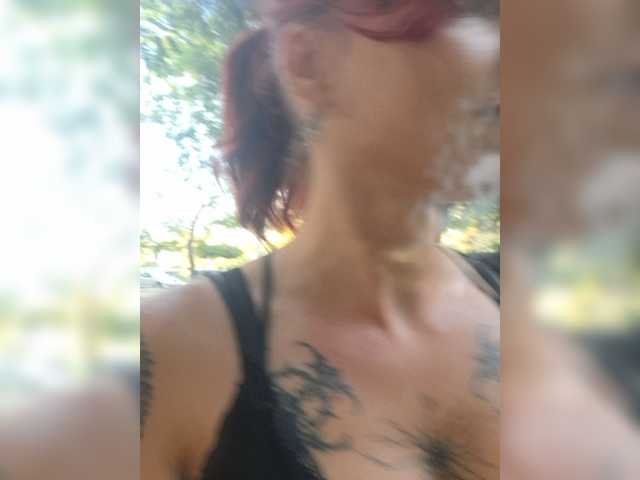 WildVixen
