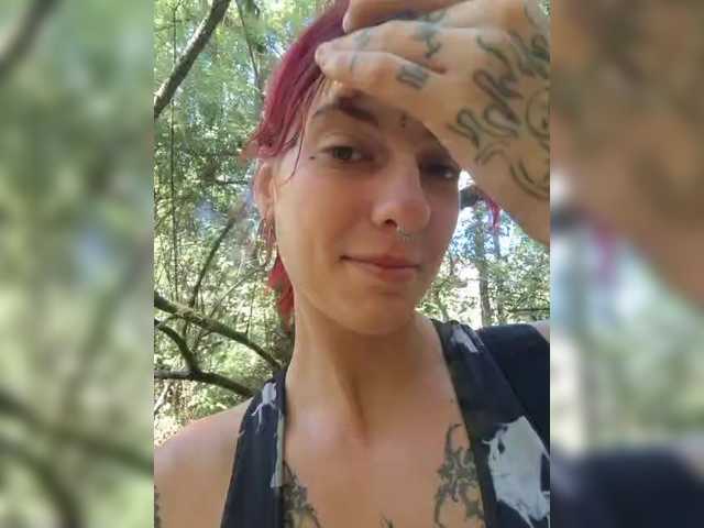 WildVixen live cam preview