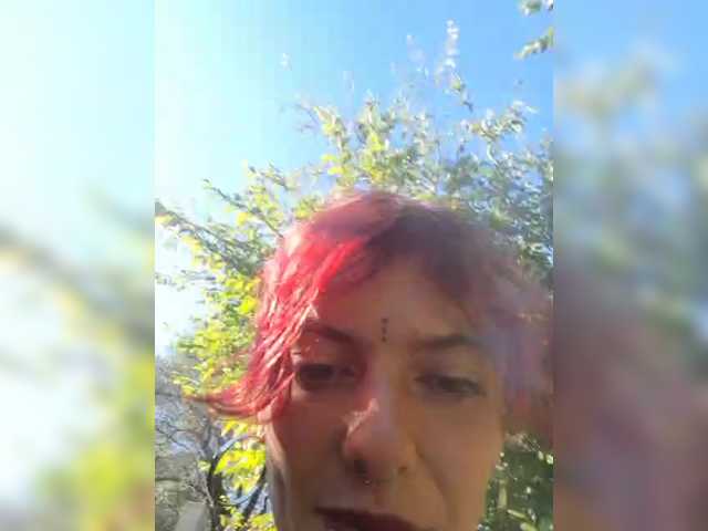 WildVixen