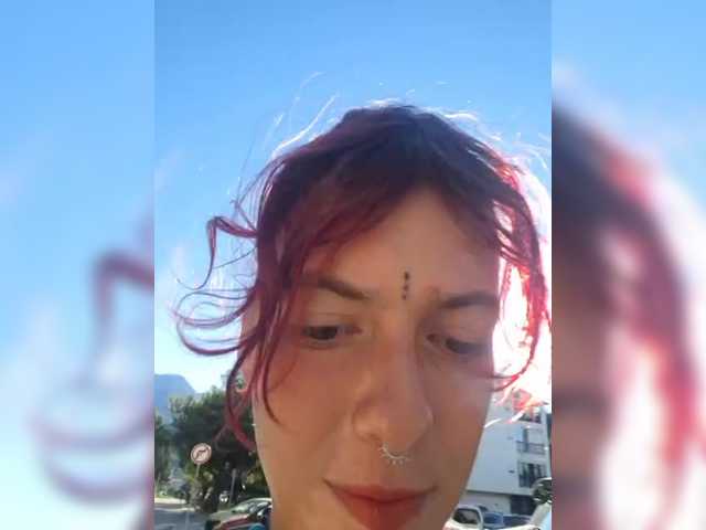 WildVixen