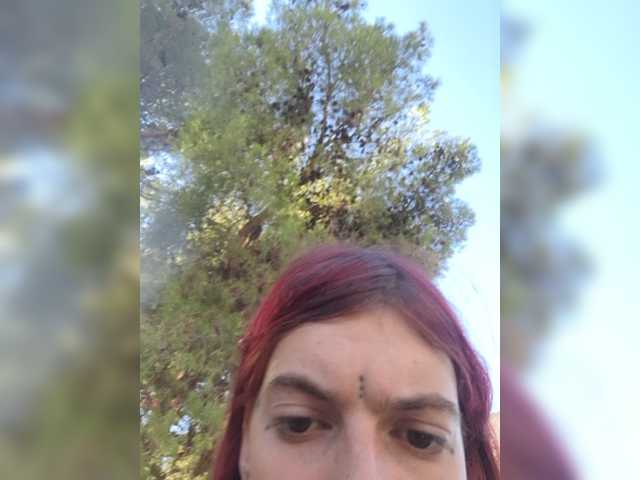 WildVixen