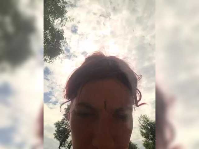 WildVixen