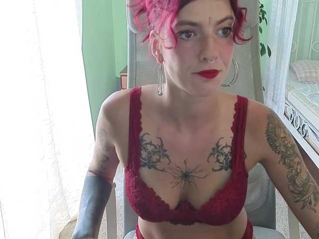 WildVixen live cam preview