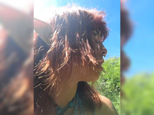 WildVixen