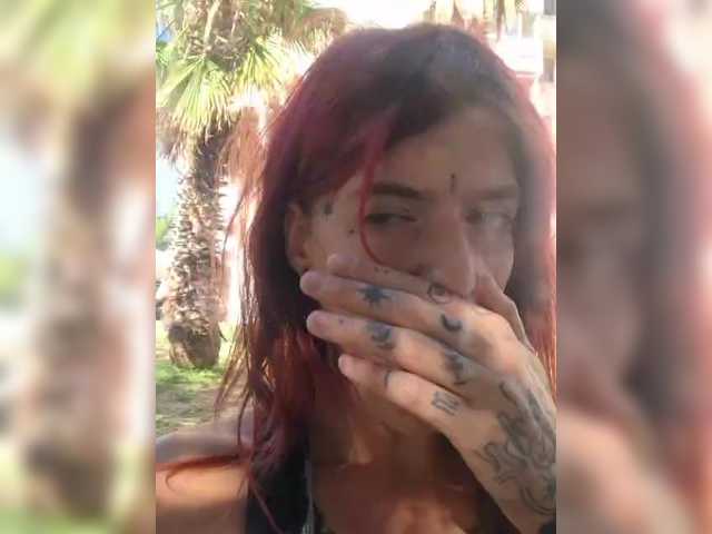 WildVixen