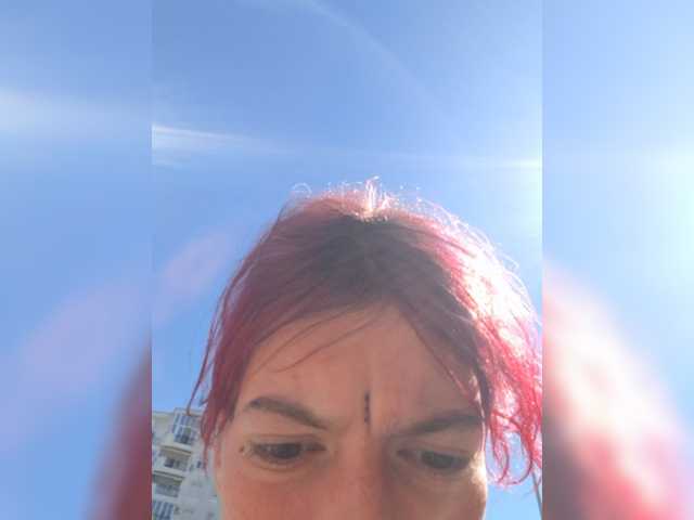 WildVixen