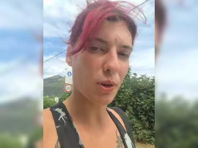 WildVixen