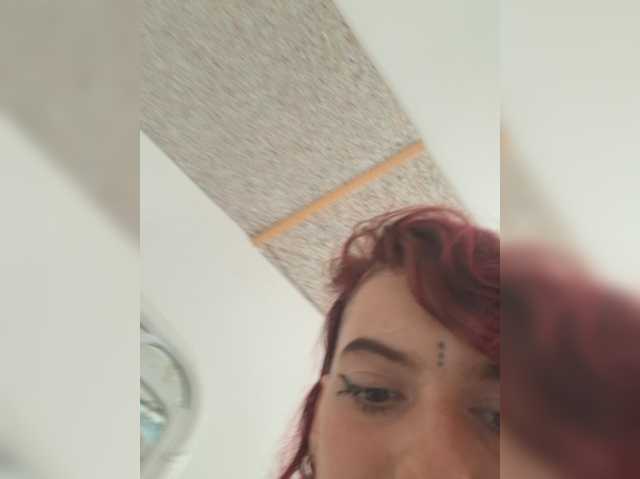 WildVixen
