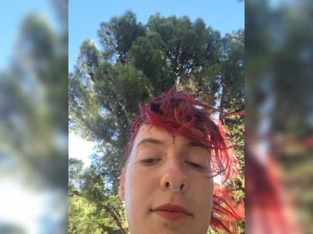 WildVixen