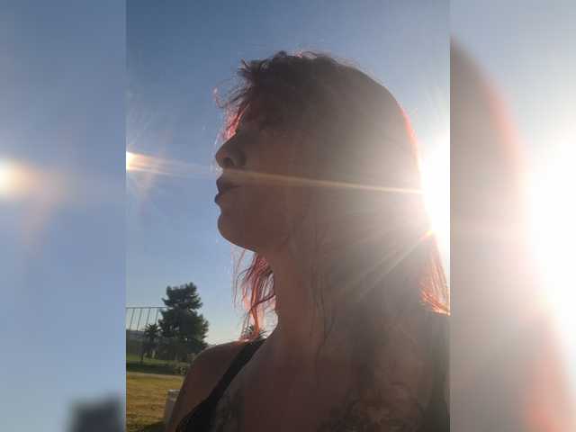 WildVixen