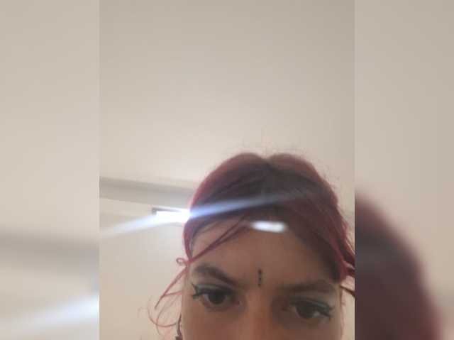 WildVixen live cam preview