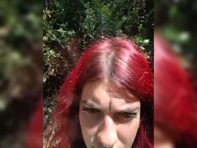 WildVixen
