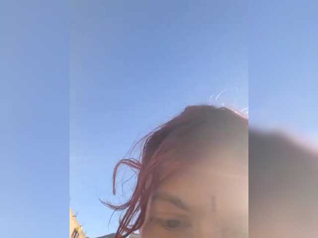 WildVixen