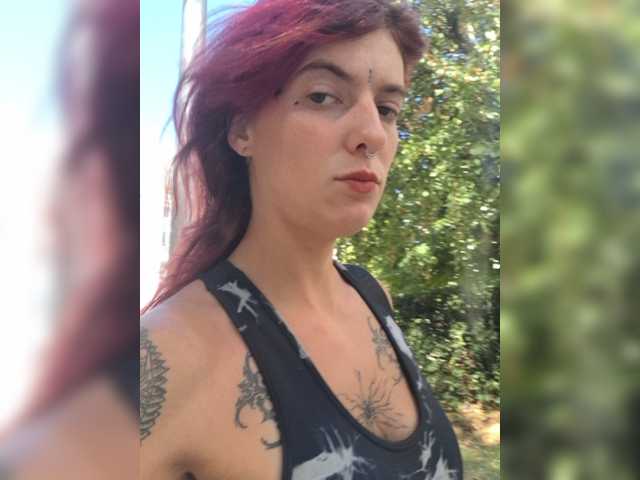 WildVixen