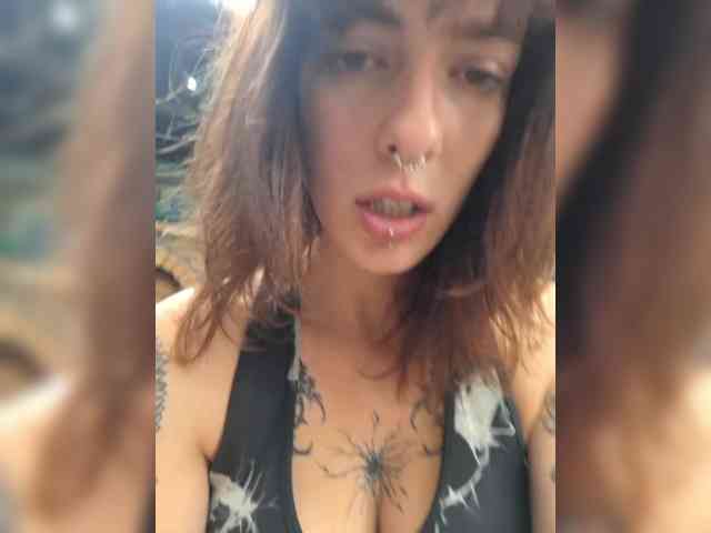 WildVixen