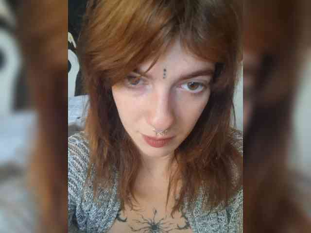 WildVixen