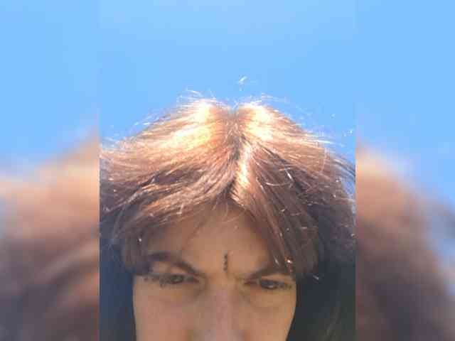 WildVixen webcam