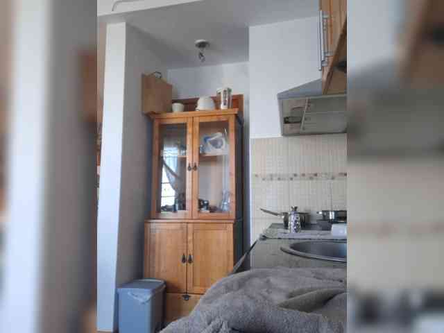 WildVixen webcam