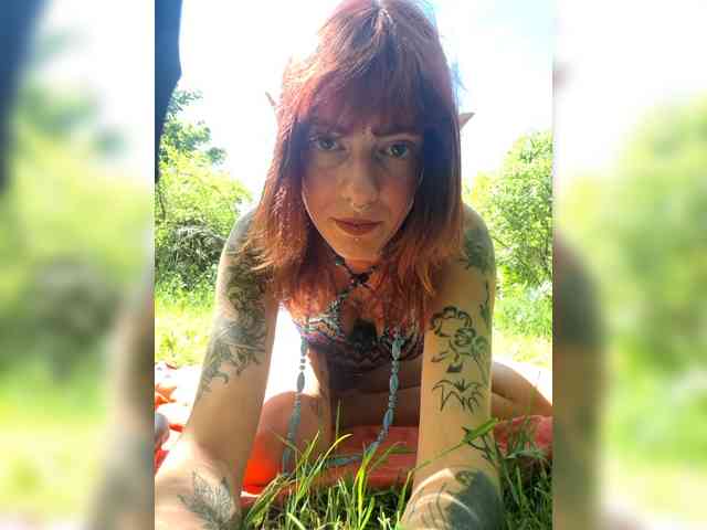 WildVixen live show