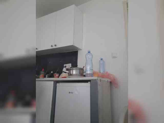 WildVixen webcam