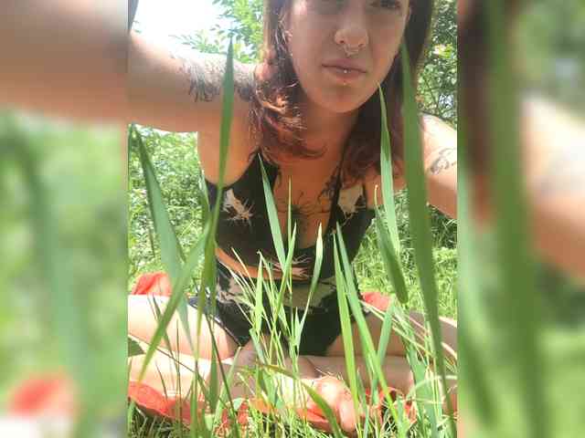 WildVixen webcam