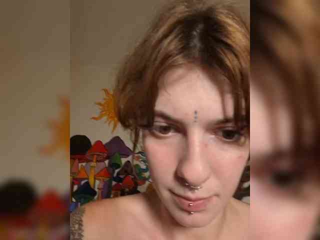 WildVixen Sex Cam Show
