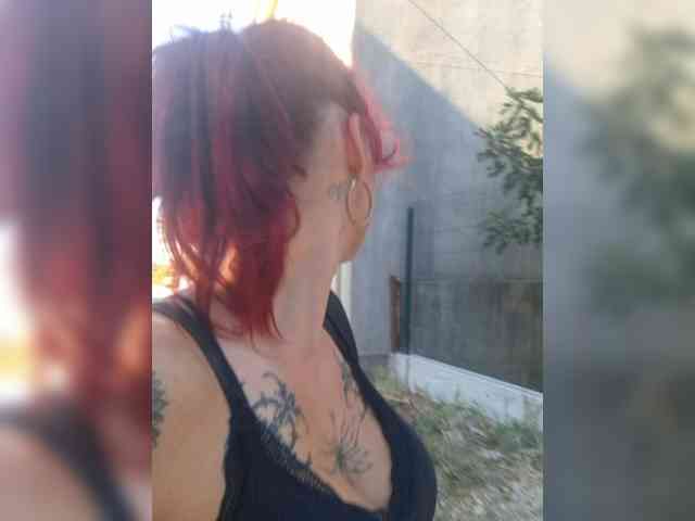 WildVixen webcam