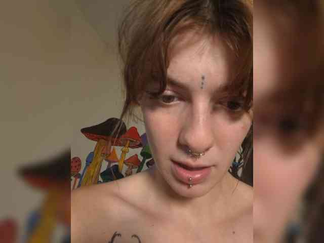 WildVixen Sex Cam Show