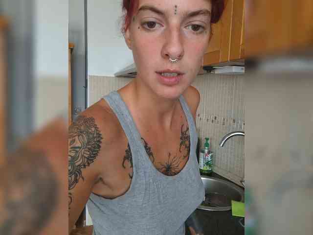 WildVixen