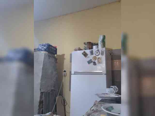 WildVixen webcam