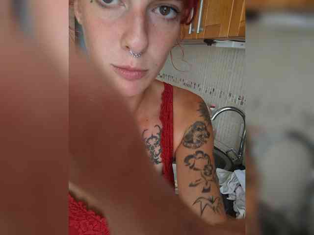 WildVixen webcam