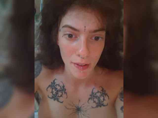 WildVixen webcam