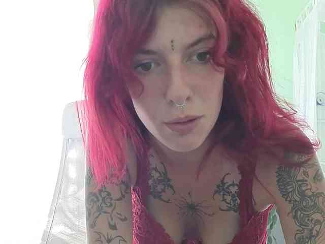 WildVixen webcam