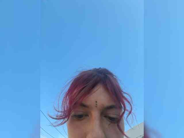 WildVixen webcam