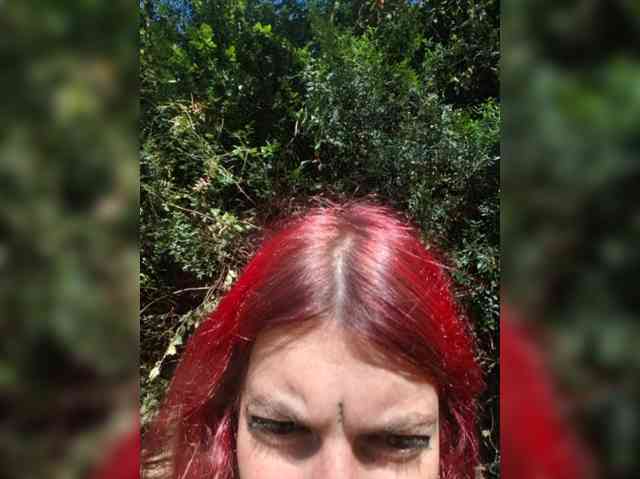WildVixen