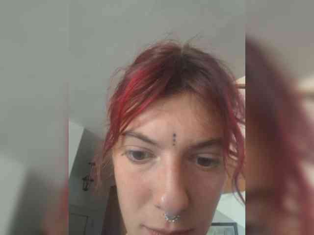 WildVixen