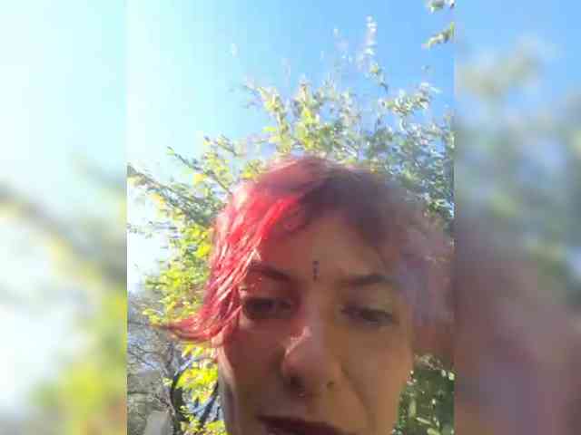 WildVixen webcam